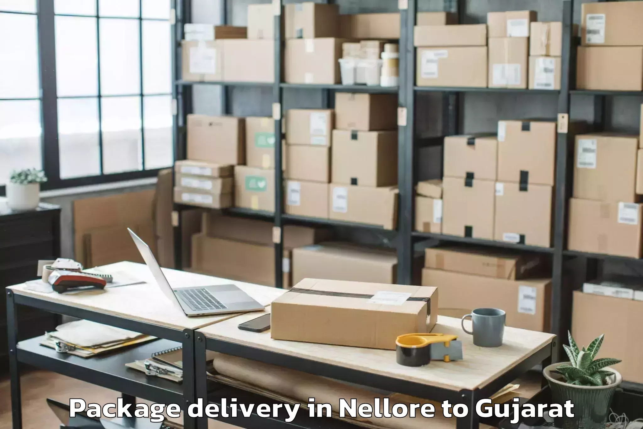 Nellore to Dharmsinh Desai University Nad Package Delivery